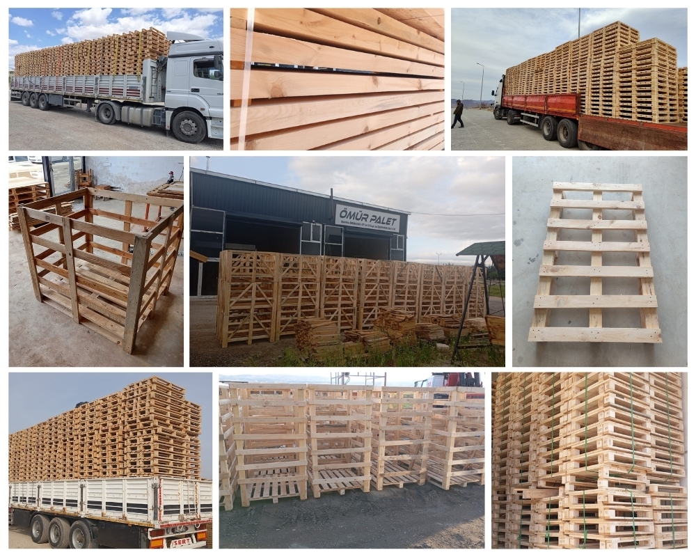 Harbledown Wooden Pallets, Buy Wooden Pallets Wholesale